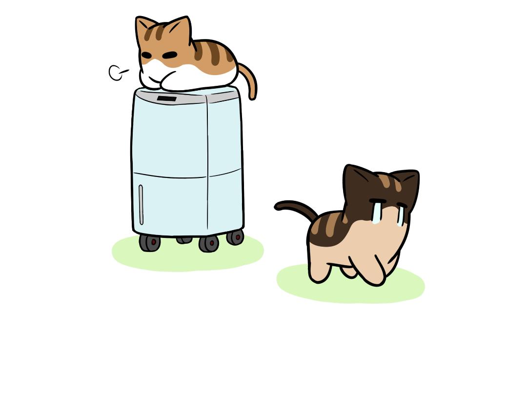 《吐司猫咪POUNDCAT》生活碎片 第23页