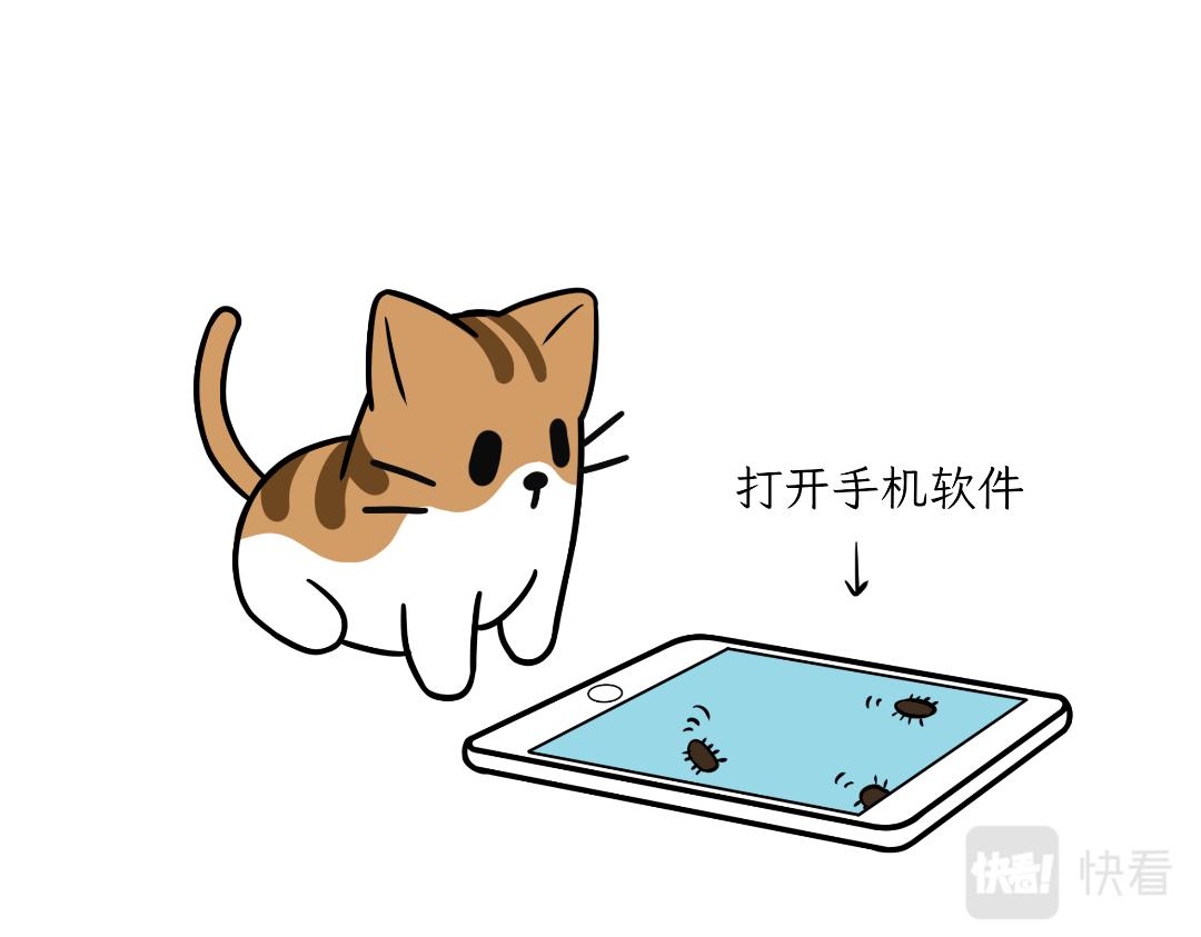 《吐司猫咪POUNDCAT》生活碎片 第25页