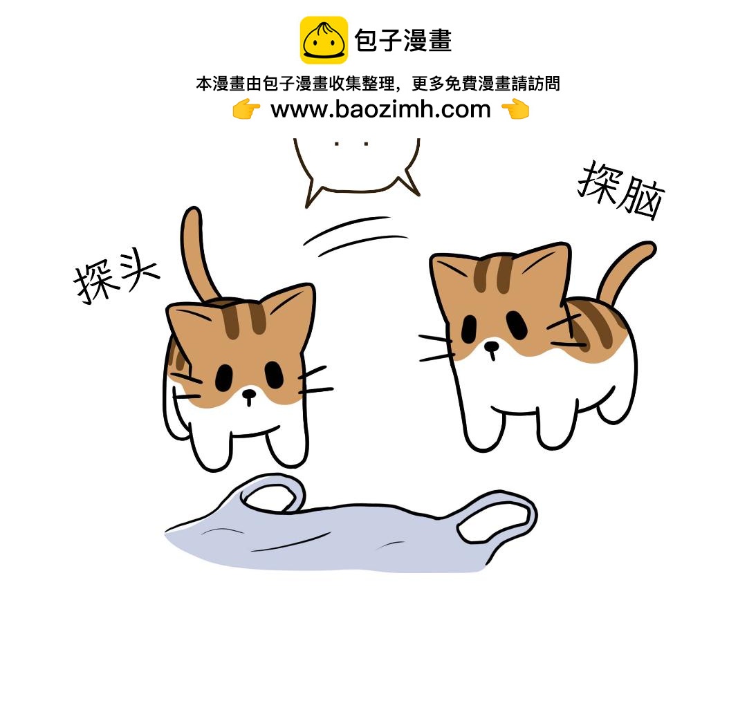 《吐司猫咪POUNDCAT》生活碎片 第2页