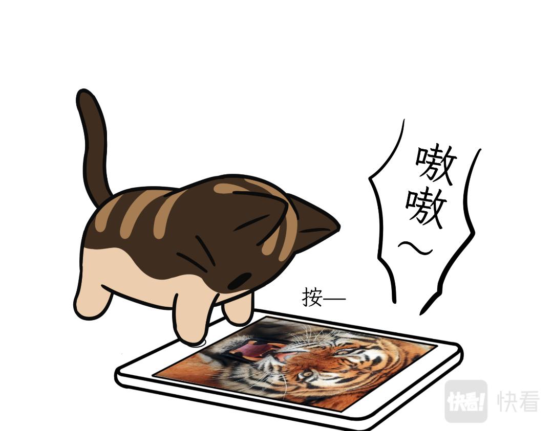 《吐司猫咪POUNDCAT》生活碎片 第34页