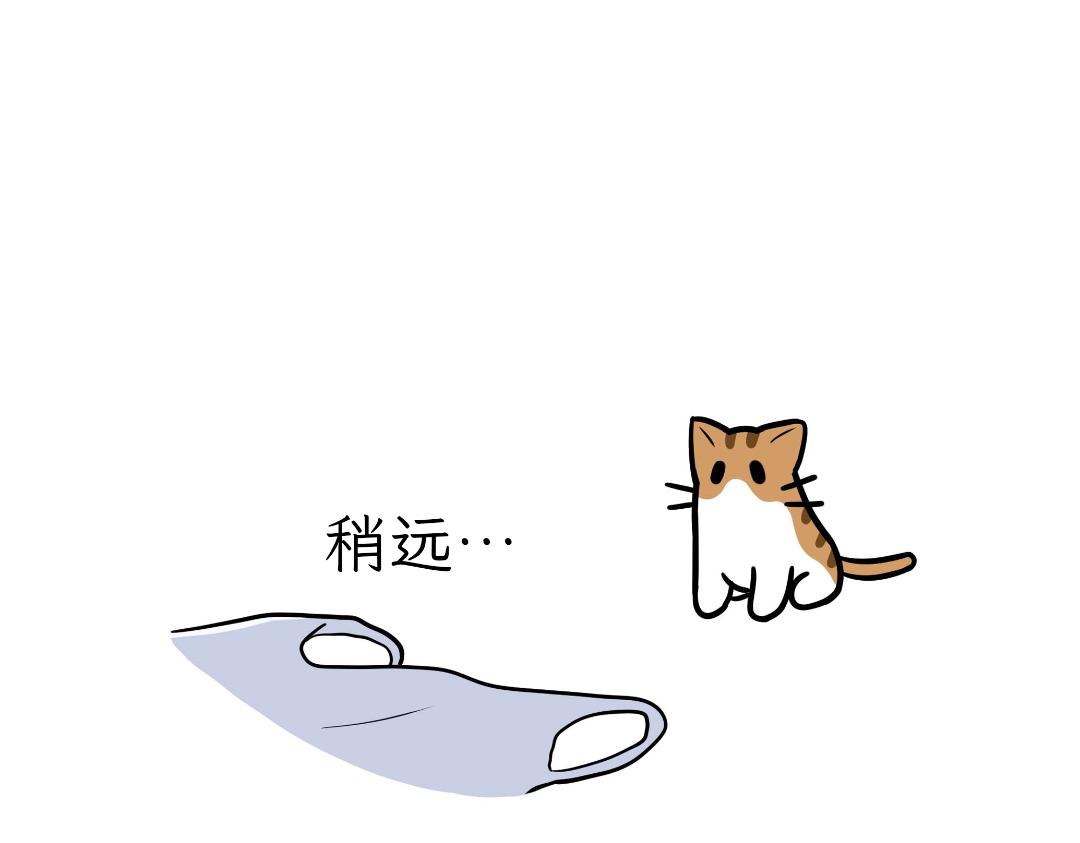 《吐司猫咪POUNDCAT》生活碎片 第3页