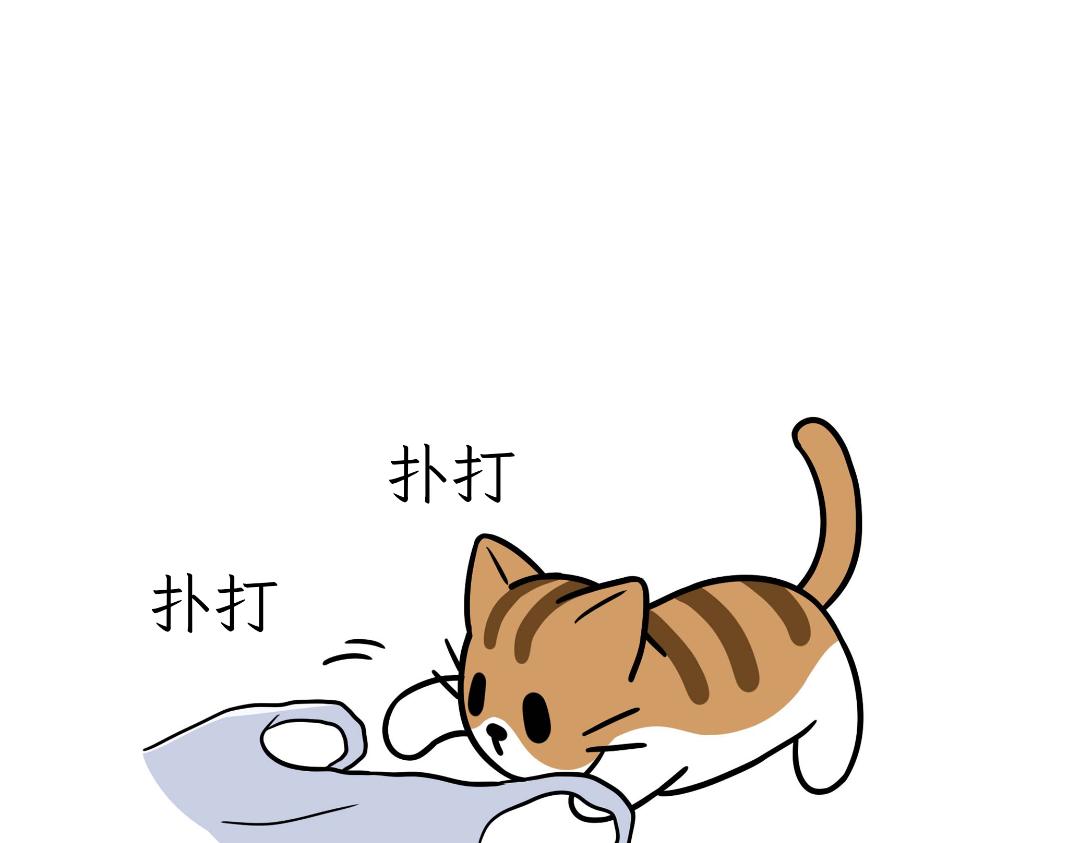 《吐司猫咪POUNDCAT》生活碎片 第4页