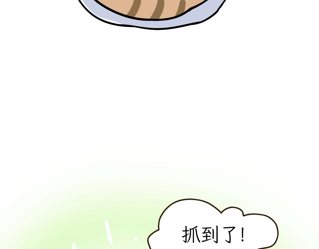 《吐司猫咪POUNDCAT》生活碎片 第9页