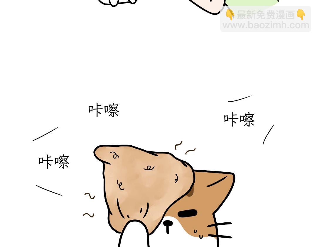 《吐司猫咪POUNDCAT》互相陪伴 第11页