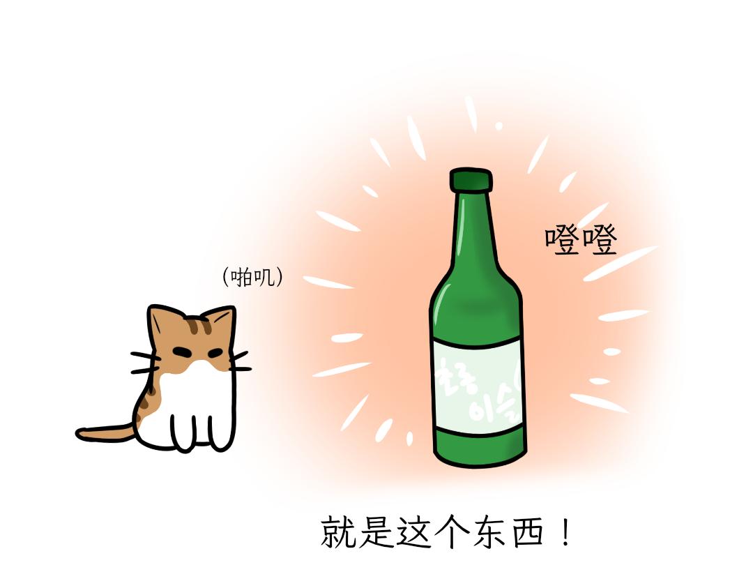 《吐司猫咪POUNDCAT》互相陪伴 第15页