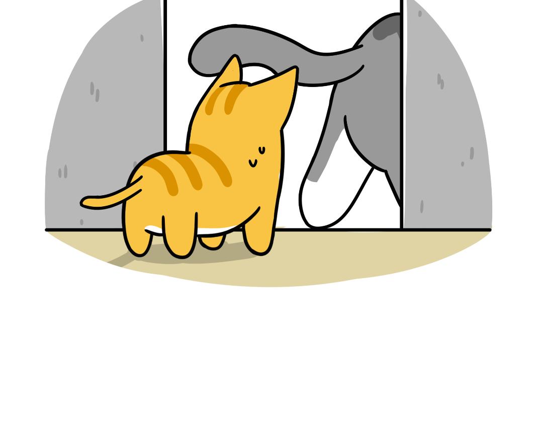 《吐司猫咪POUNDCAT》芝士的奇遇 第11页