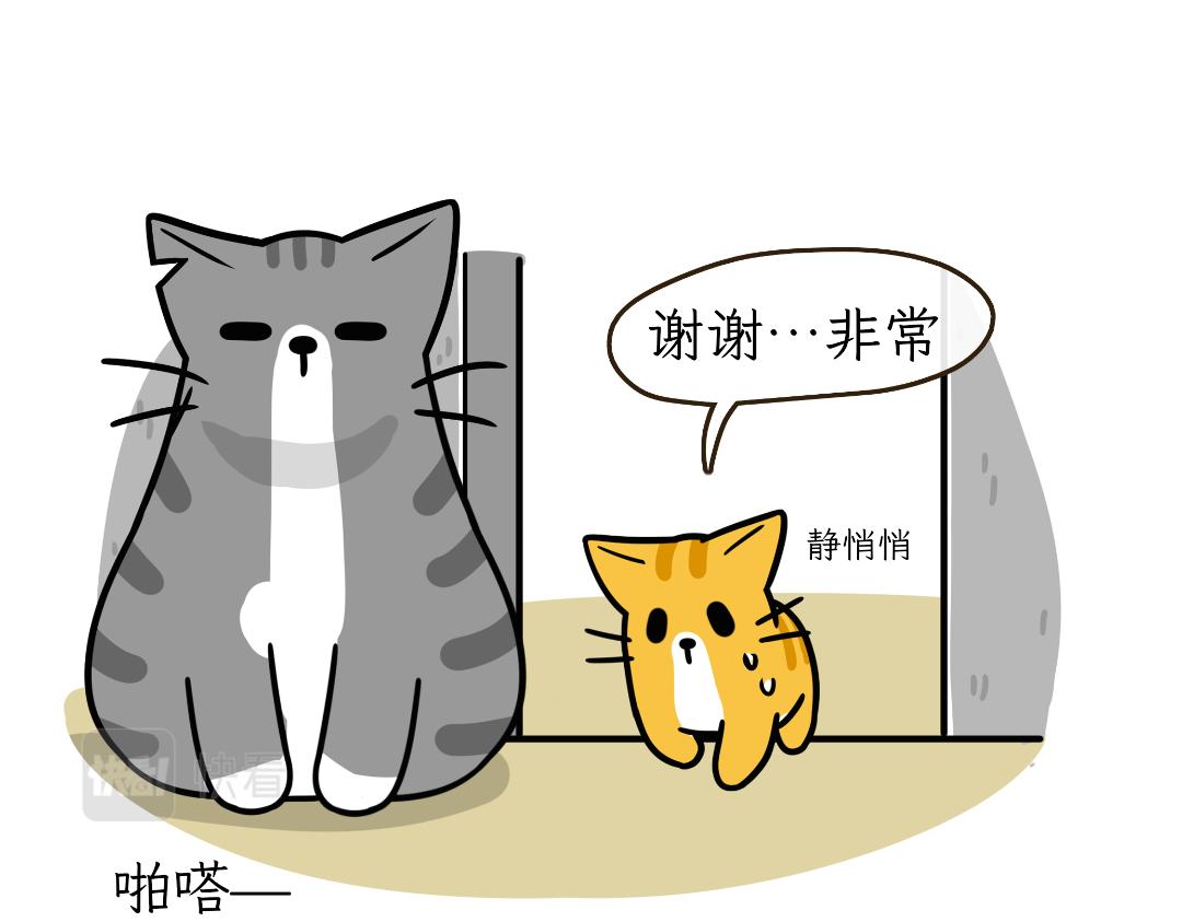 《吐司猫咪POUNDCAT》芝士的奇遇 第12页