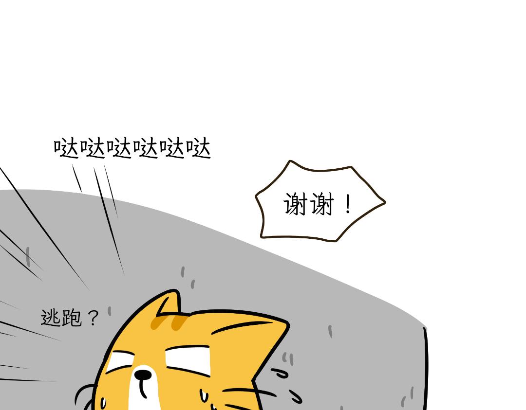 《吐司猫咪POUNDCAT》芝士的奇遇 第13页