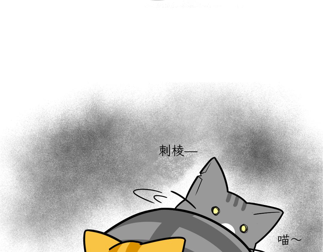 《吐司猫咪POUNDCAT》芝士的奇遇 第5页