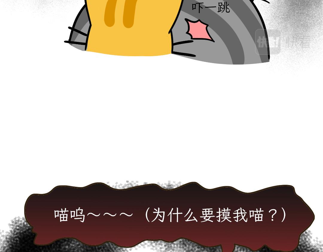 《吐司猫咪POUNDCAT》芝士的奇遇 第6页