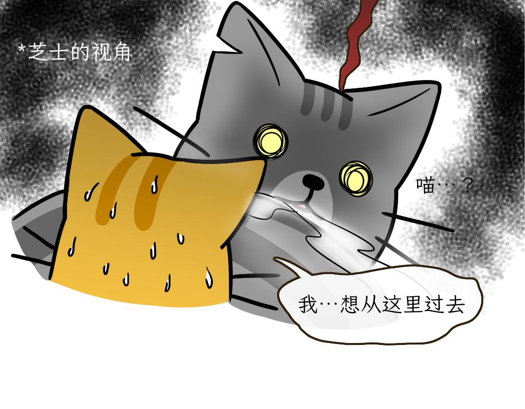 《吐司猫咪POUNDCAT》芝士的奇遇 第7页