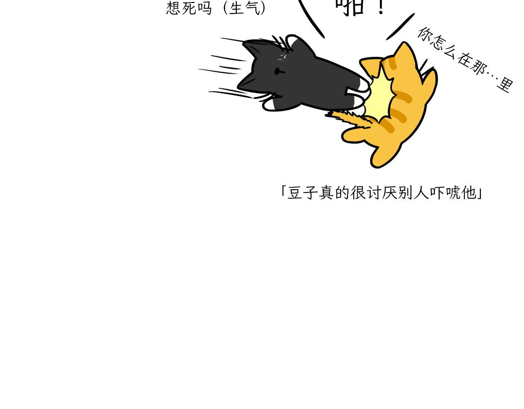 《吐司猫咪POUNDCAT》淘气鬼芝士 第11页