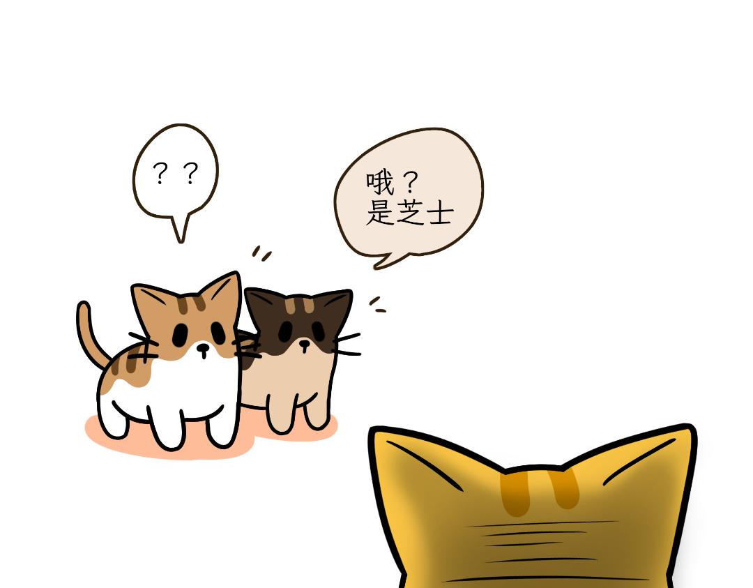 《吐司猫咪POUNDCAT》淘气鬼芝士 第13页