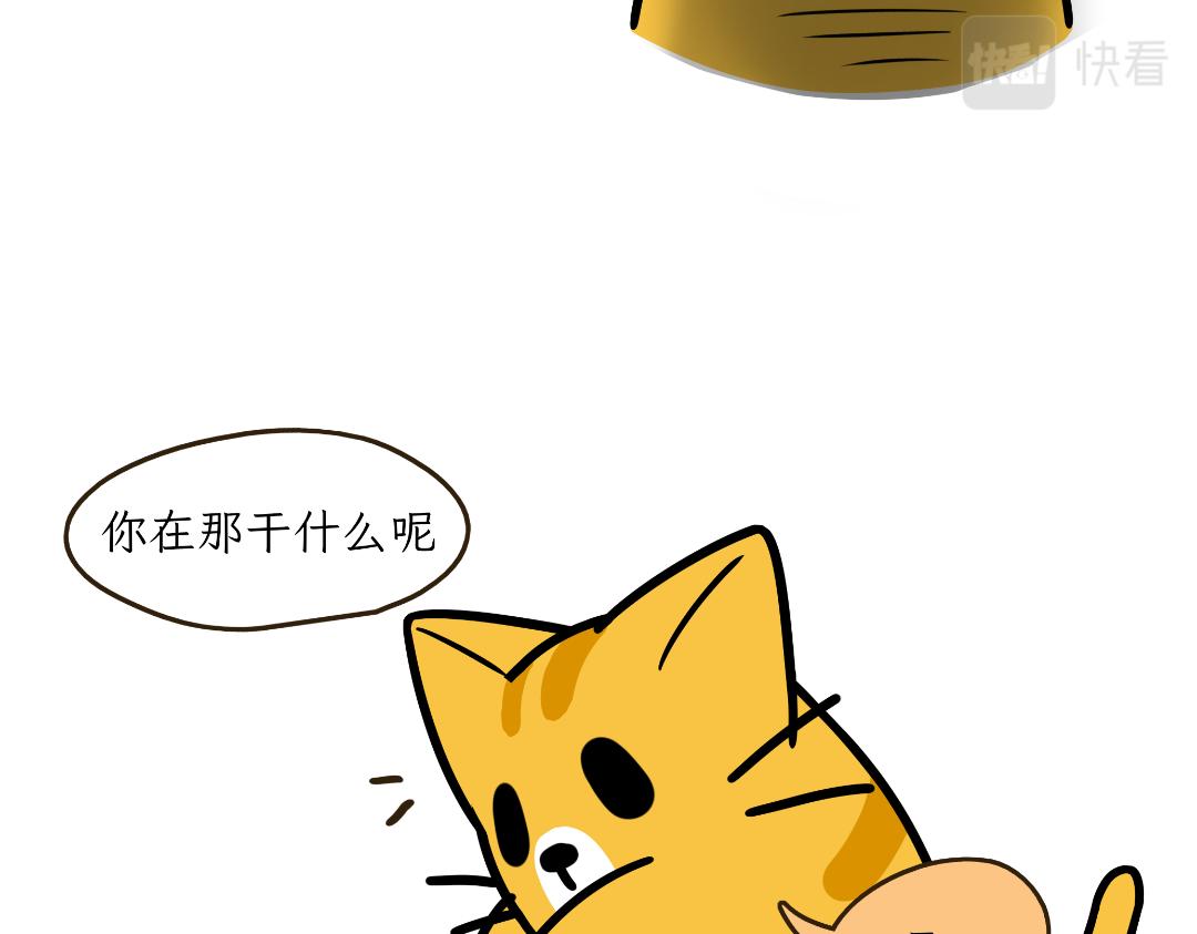 《吐司猫咪POUNDCAT》淘气鬼芝士 第14页