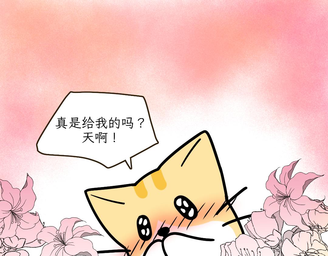 《吐司猫咪POUNDCAT》淘气鬼芝士 第20页