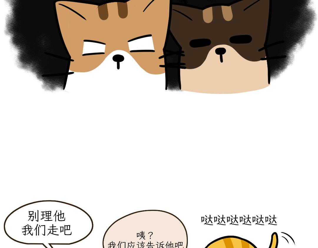 《吐司猫咪POUNDCAT》淘气鬼芝士 第24页