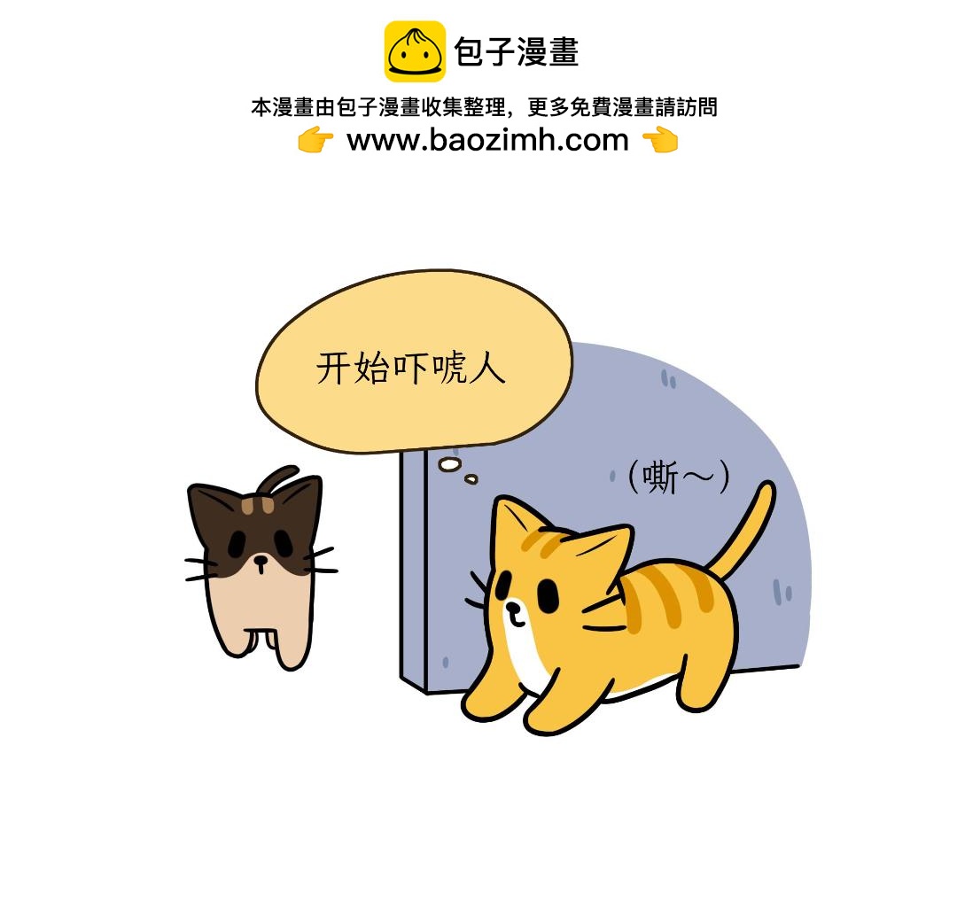 《吐司猫咪POUNDCAT》淘气鬼芝士 第2页