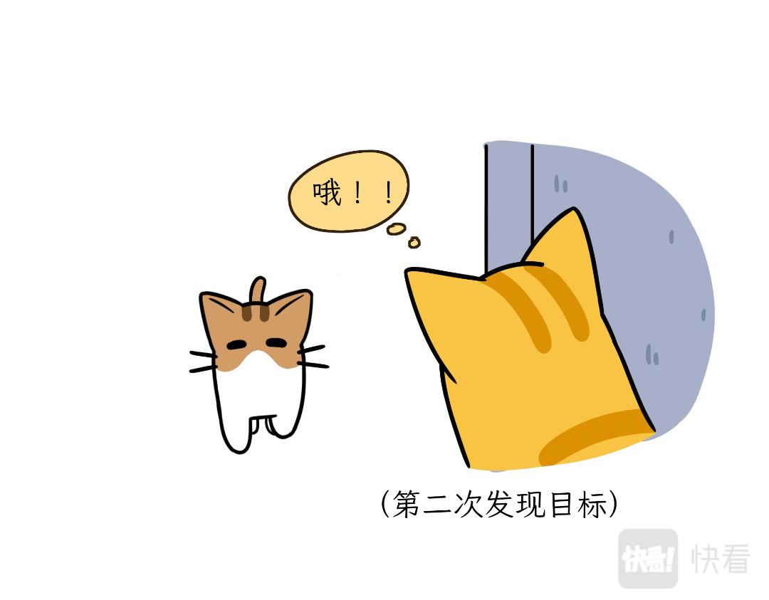 《吐司猫咪POUNDCAT》淘气鬼芝士 第5页