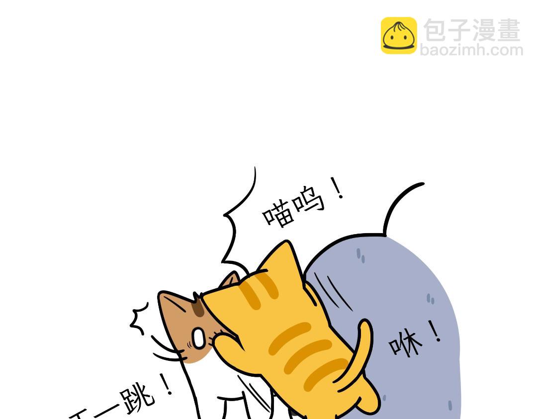 《吐司猫咪POUNDCAT》淘气鬼芝士 第8页