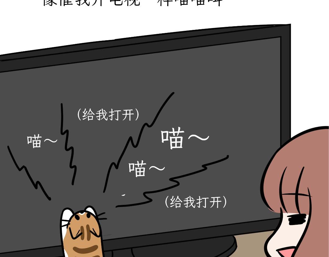 《吐司猫咪POUNDCAT》猫咪的娱乐生活 第13页