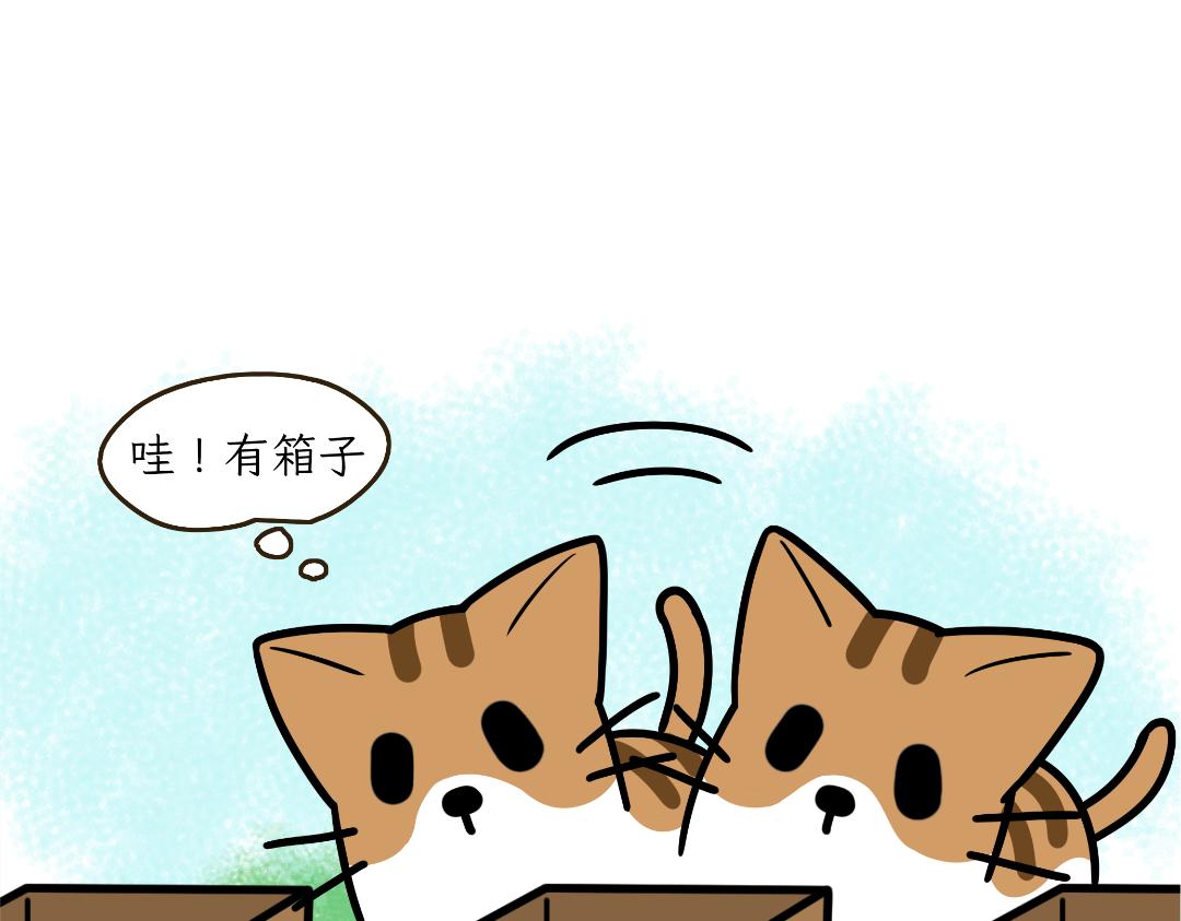 《吐司猫咪POUNDCAT》猫咪的娱乐生活 第19页