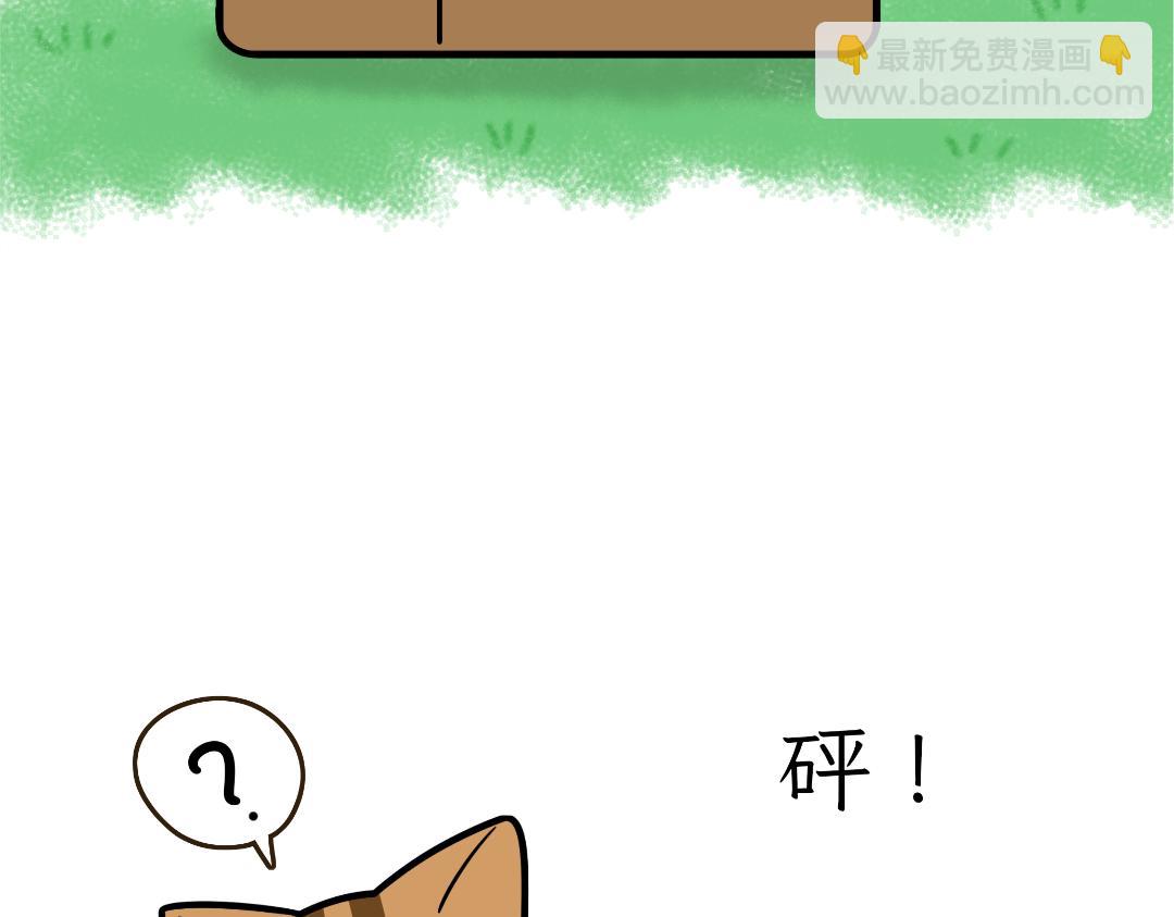 《吐司猫咪POUNDCAT》猫咪的娱乐生活 第22页