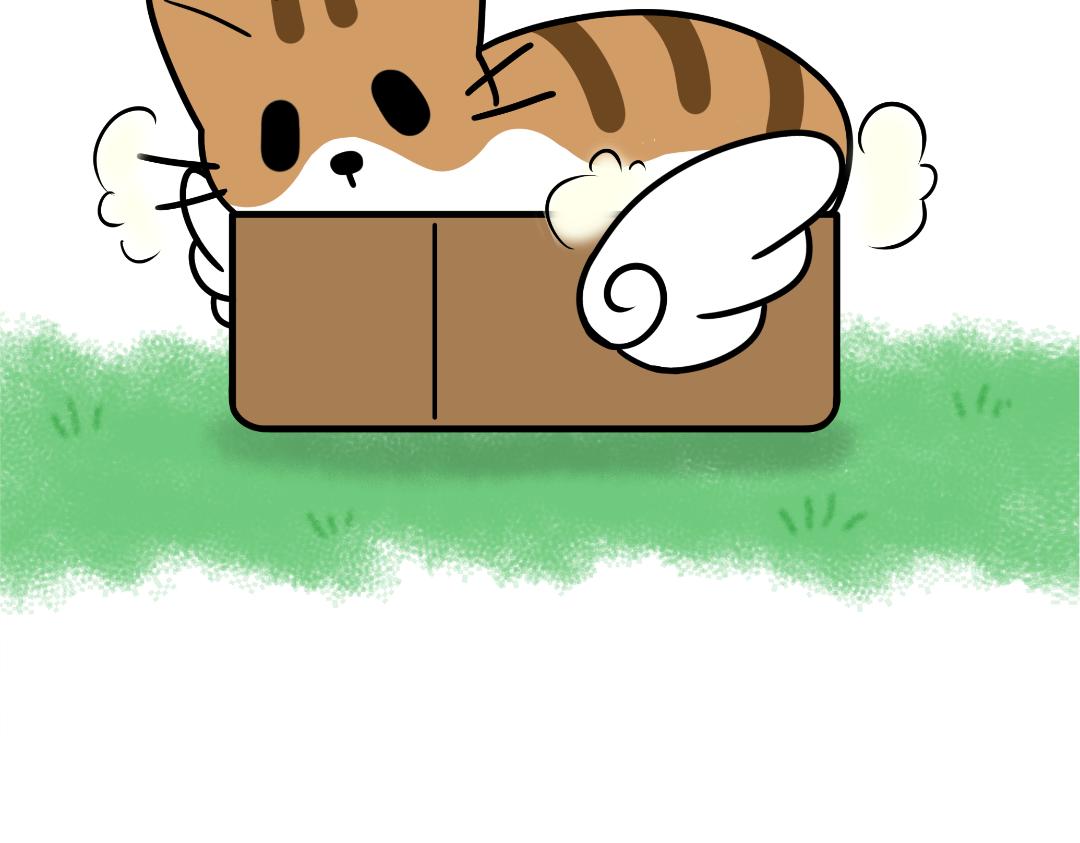 《吐司猫咪POUNDCAT》猫咪的娱乐生活 第23页