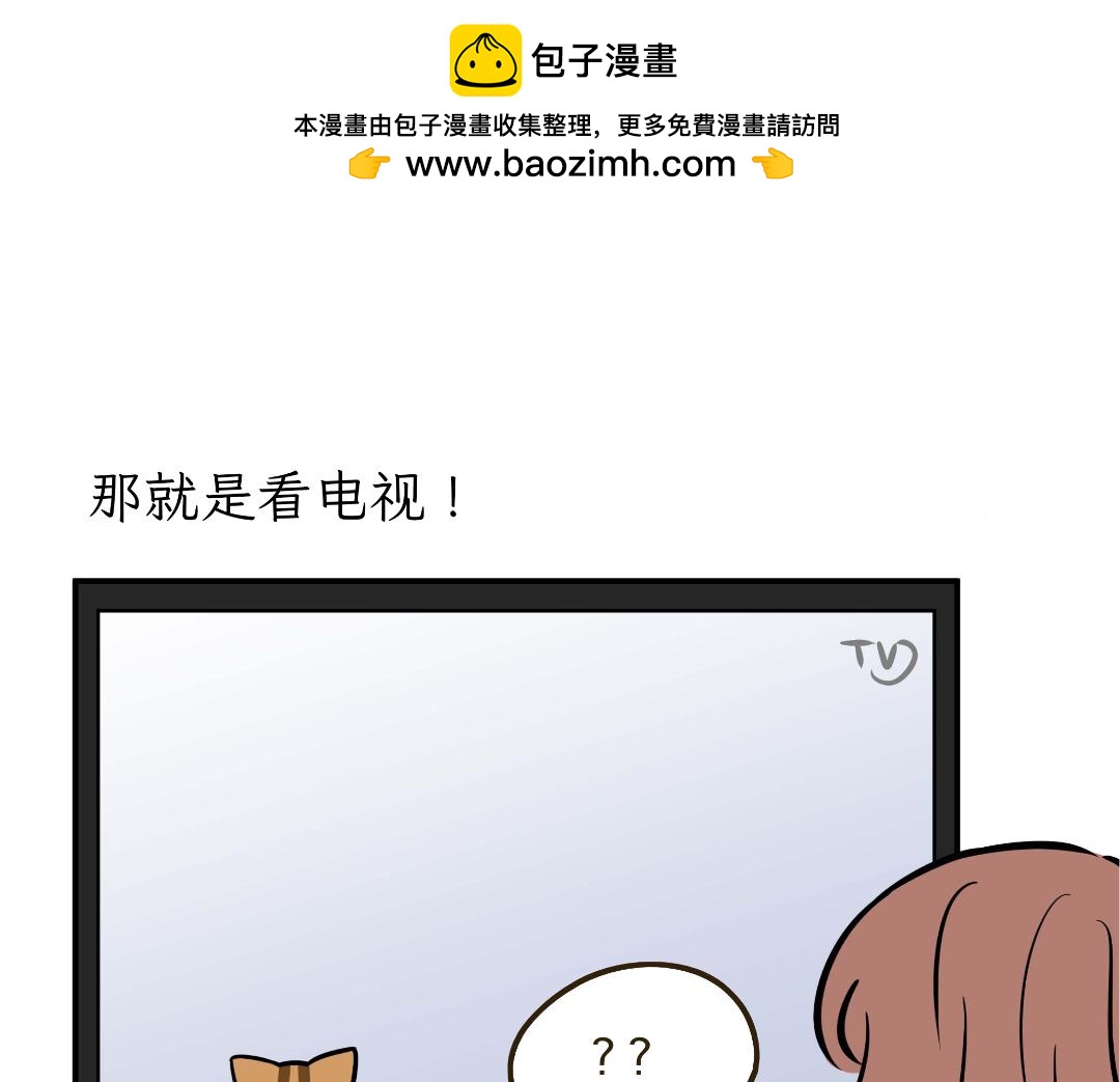 《吐司猫咪POUNDCAT》猫咪的娱乐生活 第2页