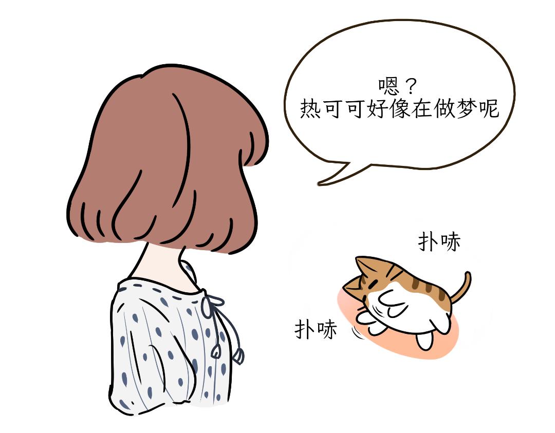 《吐司猫咪POUNDCAT》猫咪的娱乐生活 第30页