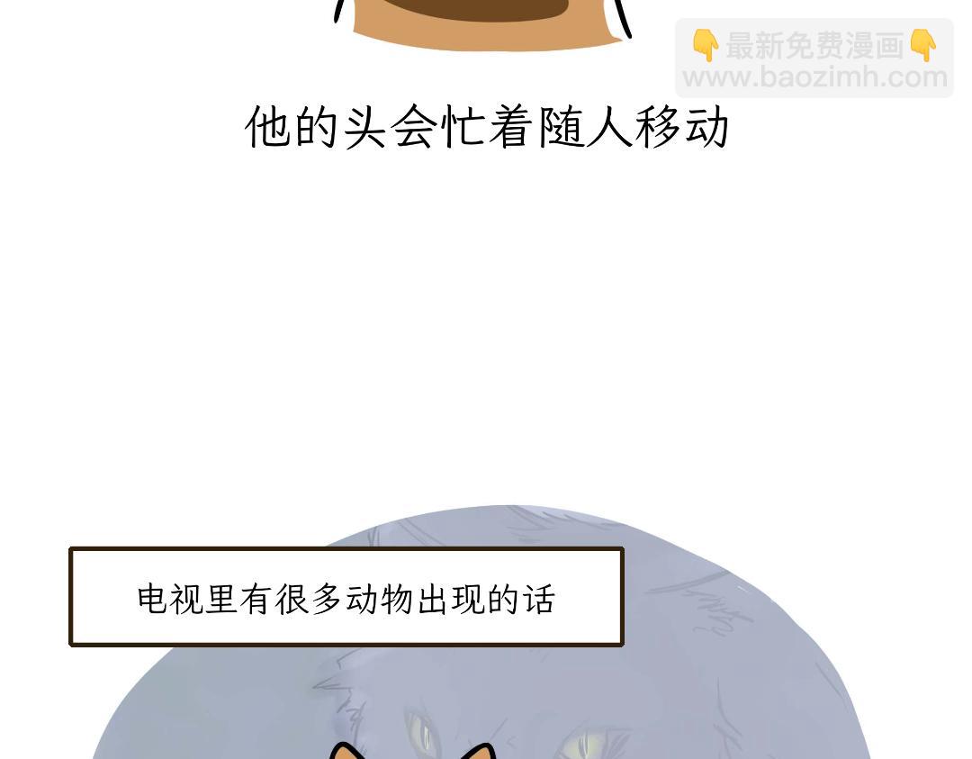 《吐司猫咪POUNDCAT》猫咪的娱乐生活 第5页