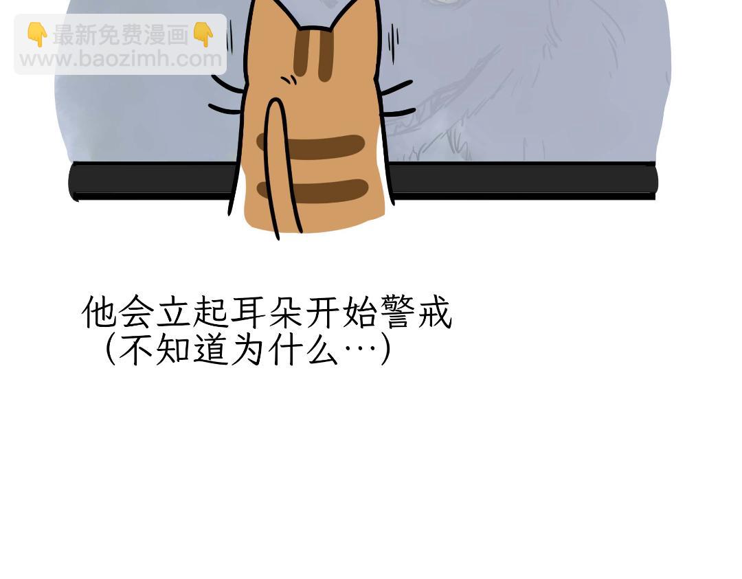 《吐司猫咪POUNDCAT》猫咪的娱乐生活 第6页