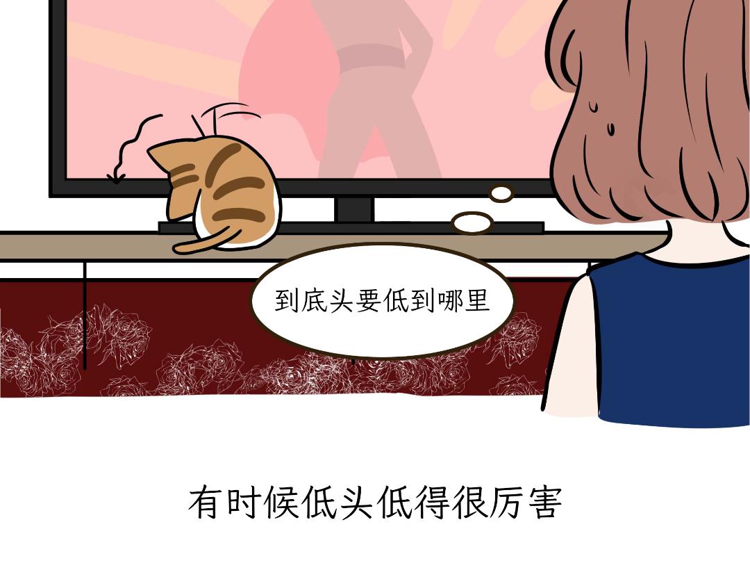 《吐司猫咪POUNDCAT》猫咪的娱乐生活 第9页
