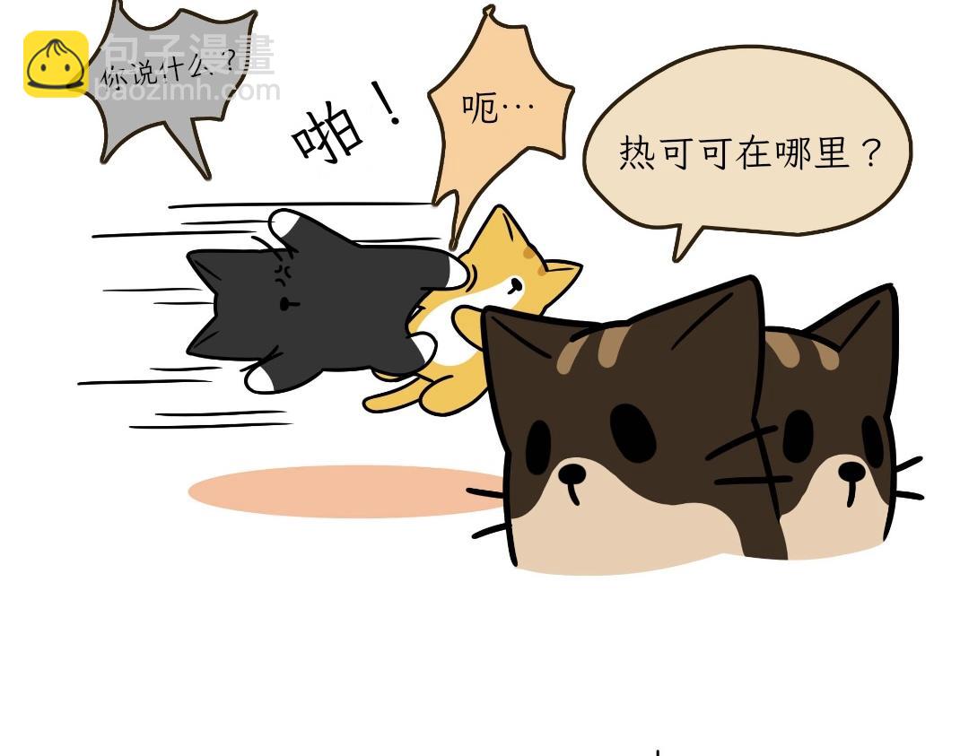 《吐司猫咪POUNDCAT》热可可的迷惑操作 第11页