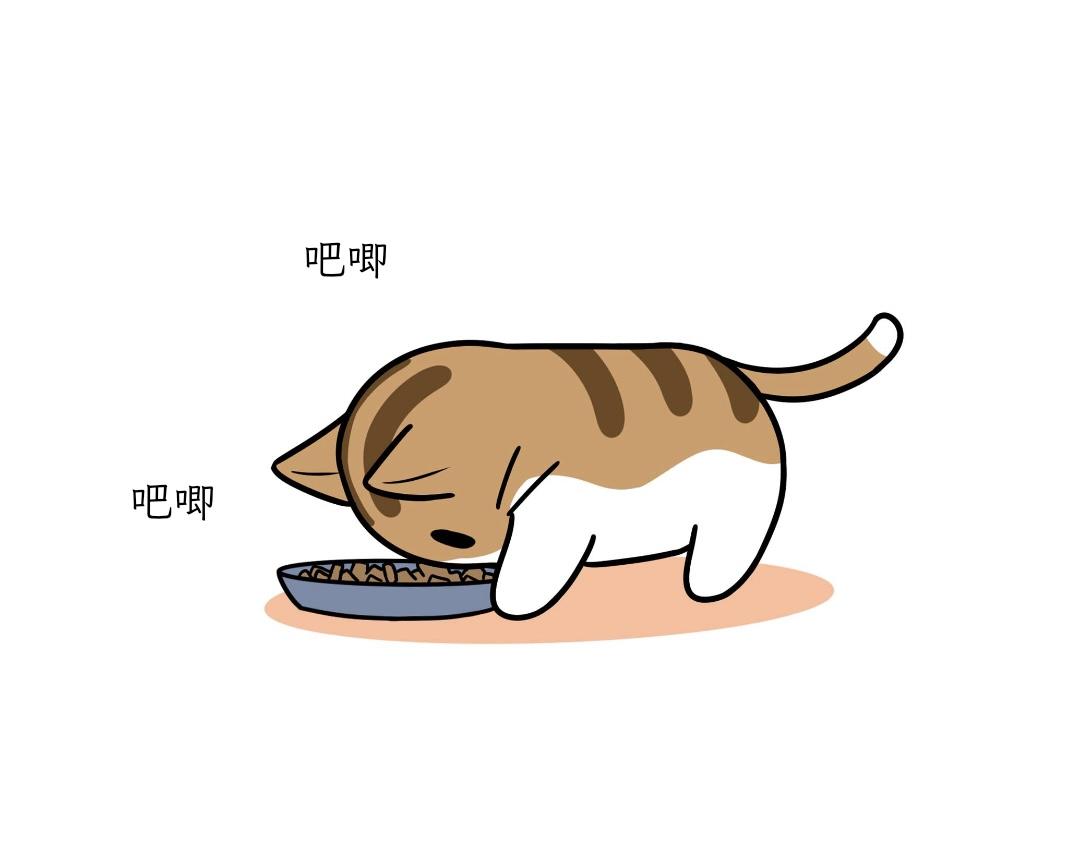 《吐司猫咪POUNDCAT》热可可的迷惑操作 第1页