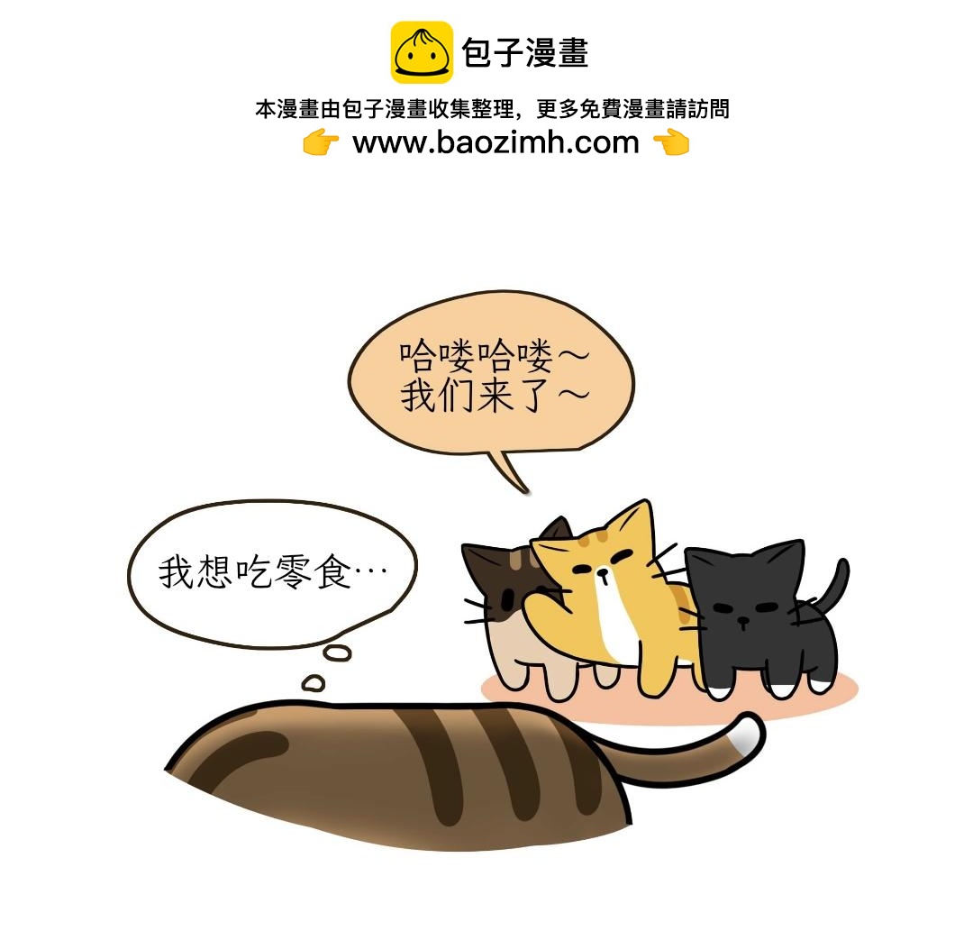 《吐司猫咪POUNDCAT》热可可的迷惑操作 第2页
