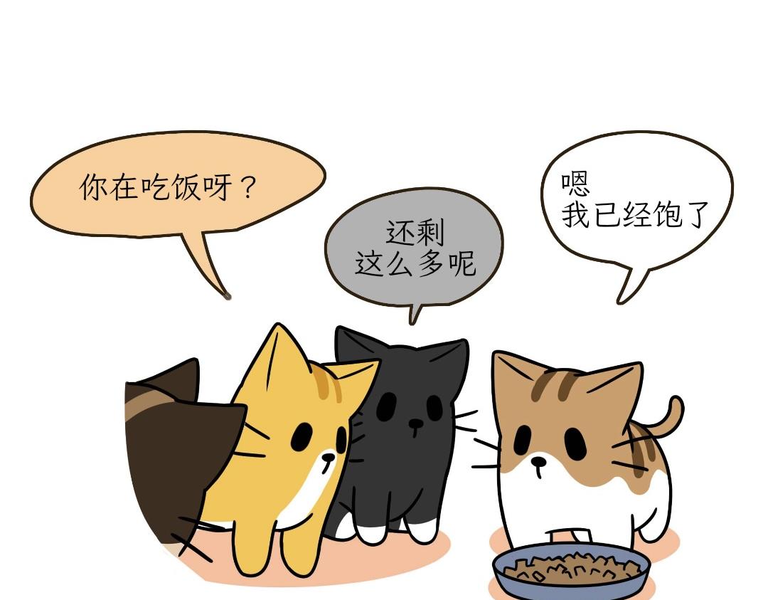 《吐司猫咪POUNDCAT》热可可的迷惑操作 第3页