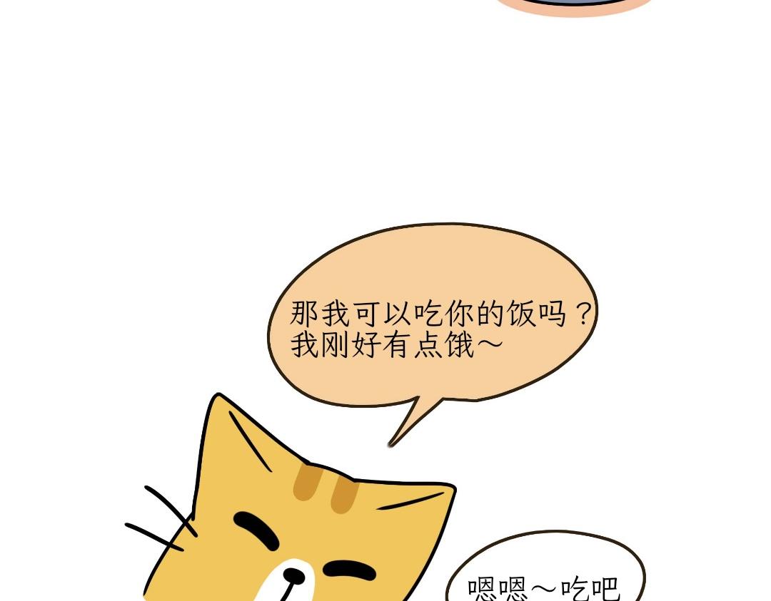 《吐司猫咪POUNDCAT》热可可的迷惑操作 第4页