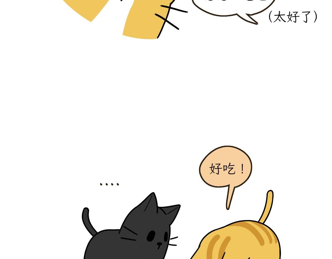 《吐司猫咪POUNDCAT》热可可的迷惑操作 第5页
