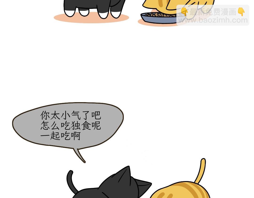 《吐司猫咪POUNDCAT》热可可的迷惑操作 第6页