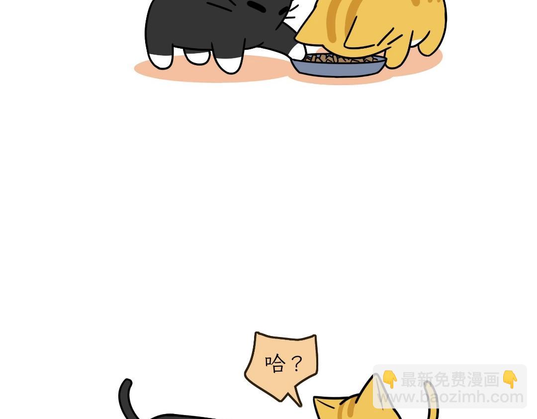 《吐司猫咪POUNDCAT》热可可的迷惑操作 第7页