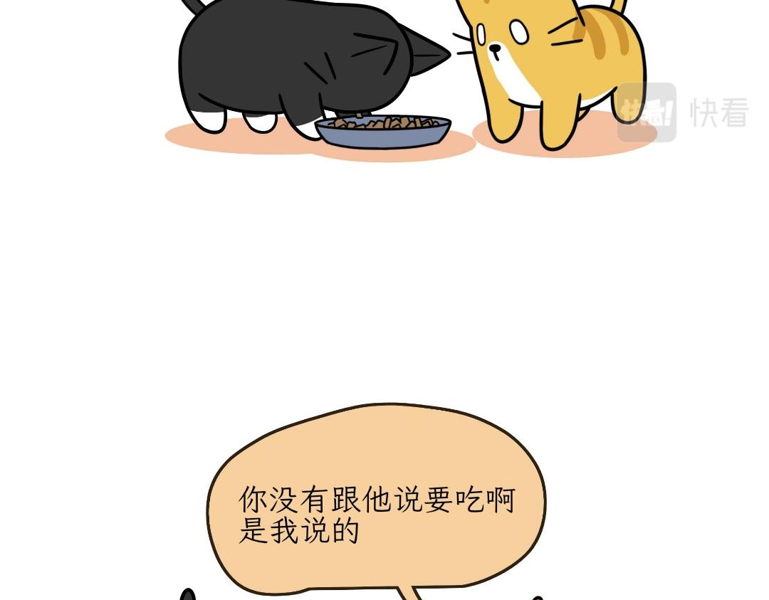 《吐司猫咪POUNDCAT》热可可的迷惑操作 第8页