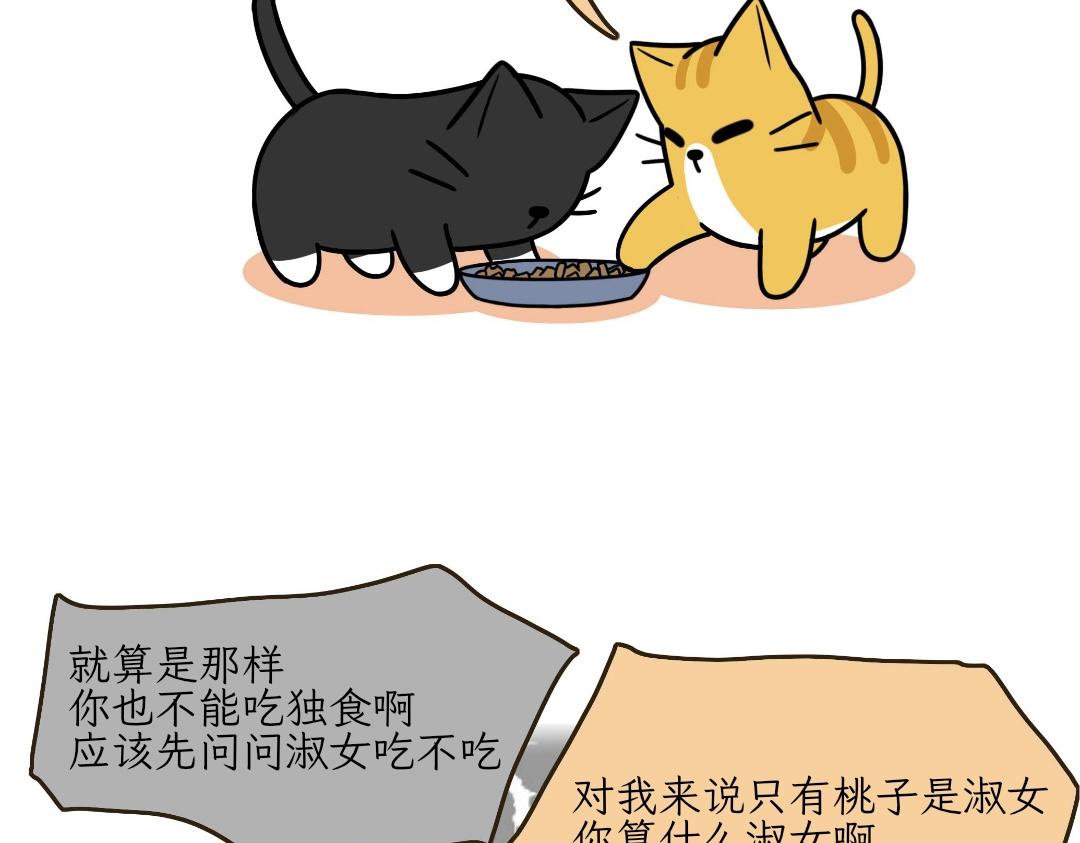 《吐司猫咪POUNDCAT》热可可的迷惑操作 第9页