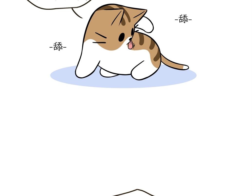 《吐司猫咪POUNDCAT》伊丽莎白圈 第10页