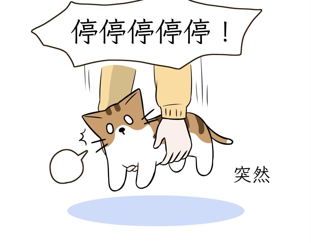 《吐司猫咪POUNDCAT》伊丽莎白圈 第11页