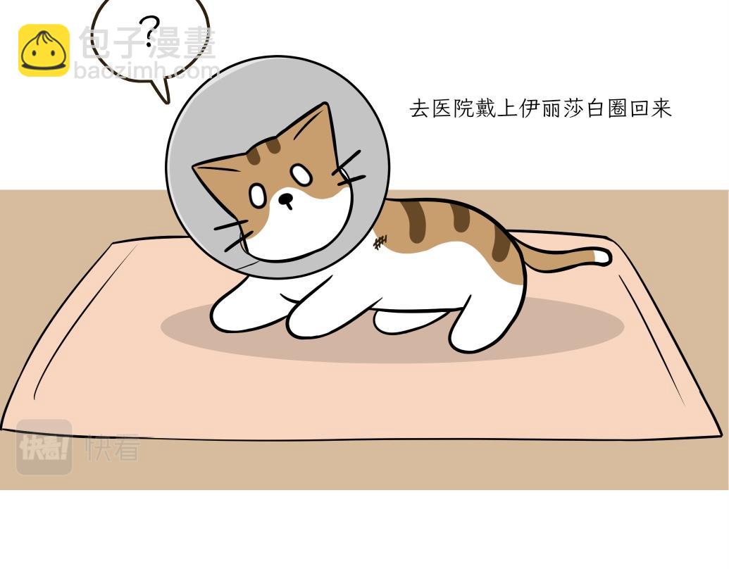 《吐司猫咪POUNDCAT》伊丽莎白圈 第13页