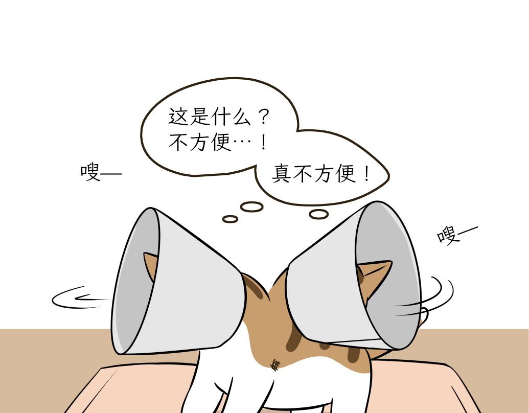 《吐司猫咪POUNDCAT》伊丽莎白圈 第14页