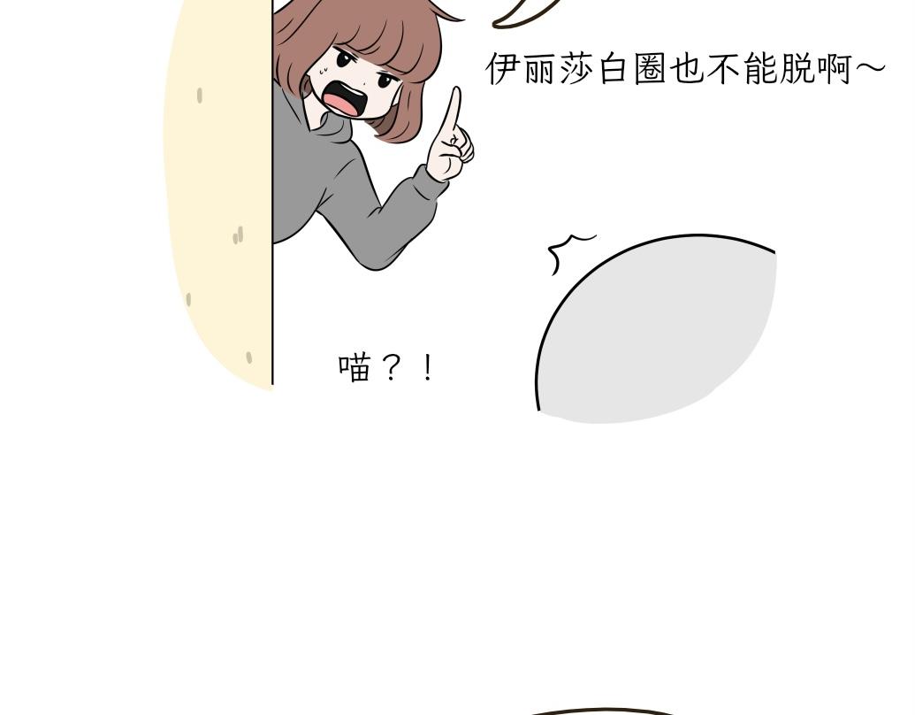 《吐司猫咪POUNDCAT》伊丽莎白圈 第16页