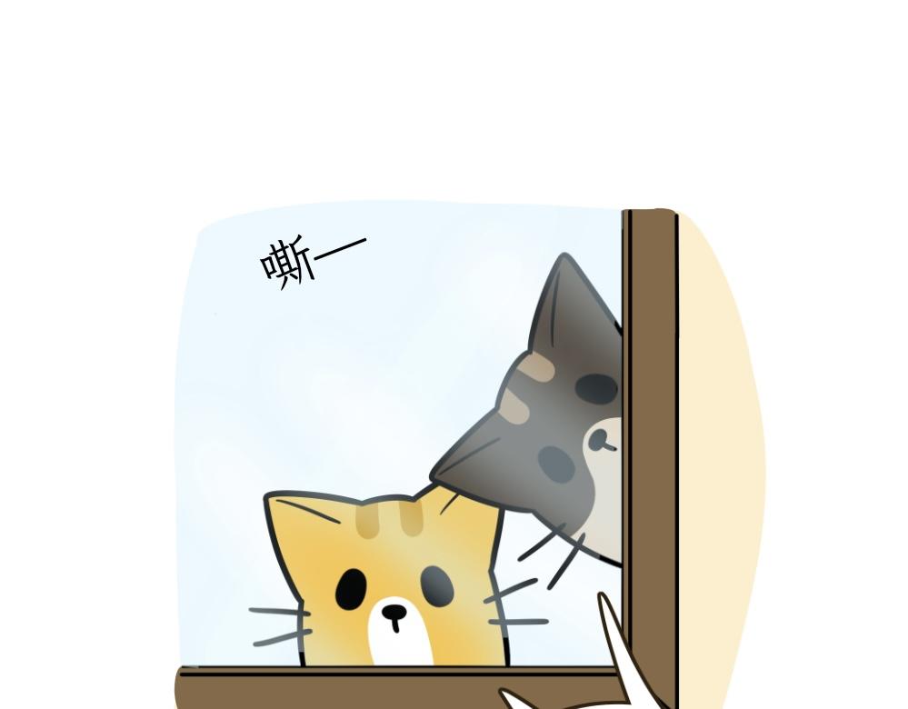 《吐司猫咪POUNDCAT》伊丽莎白圈 第19页