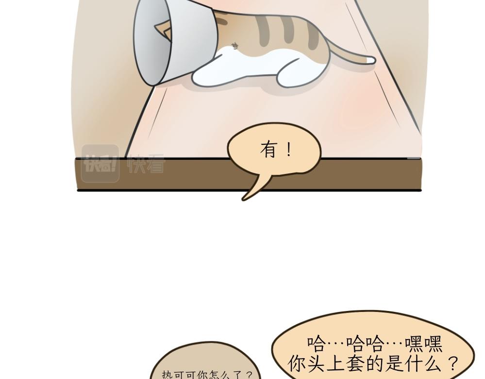 《吐司猫咪POUNDCAT》伊丽莎白圈 第21页