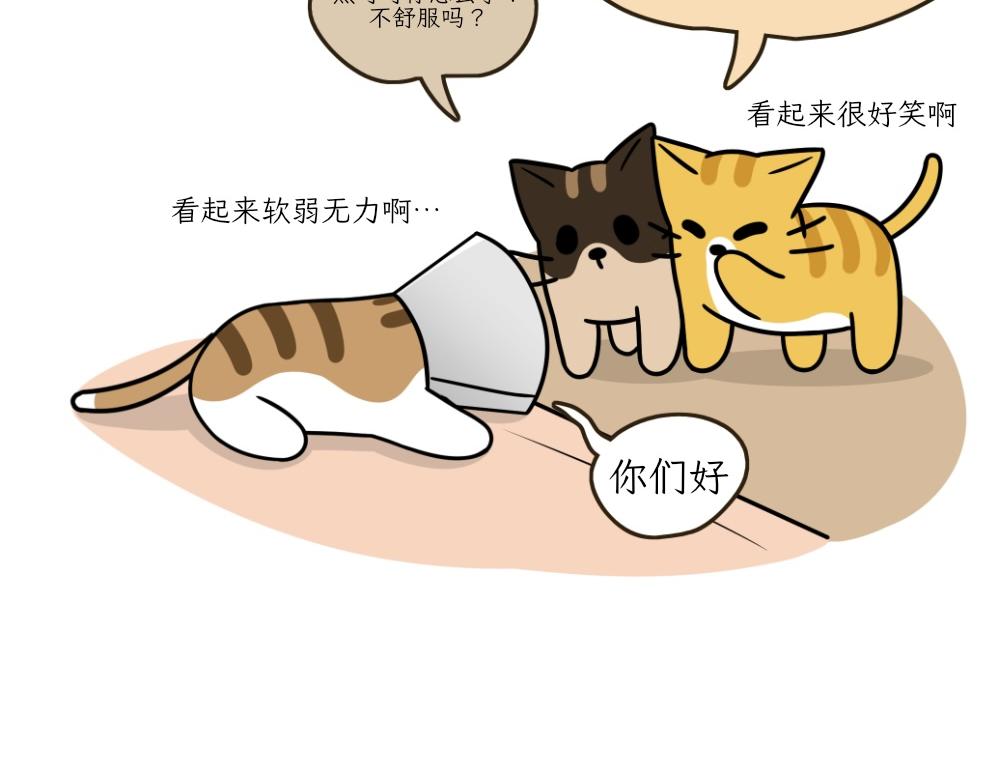 《吐司猫咪POUNDCAT》伊丽莎白圈 第22页